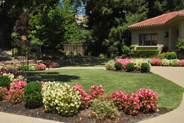 Jacksonville Artificial Turf Lansdscaping