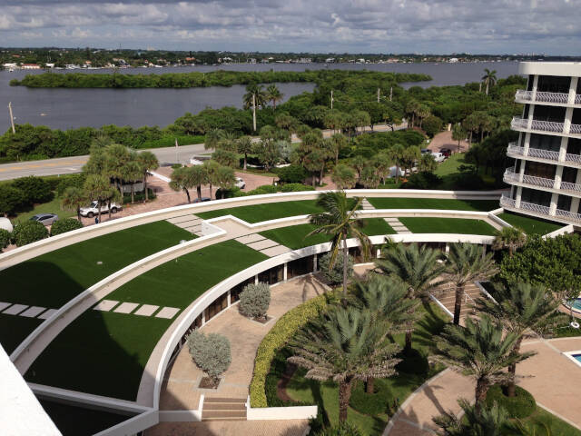 Jacksonville commercial landscape turf