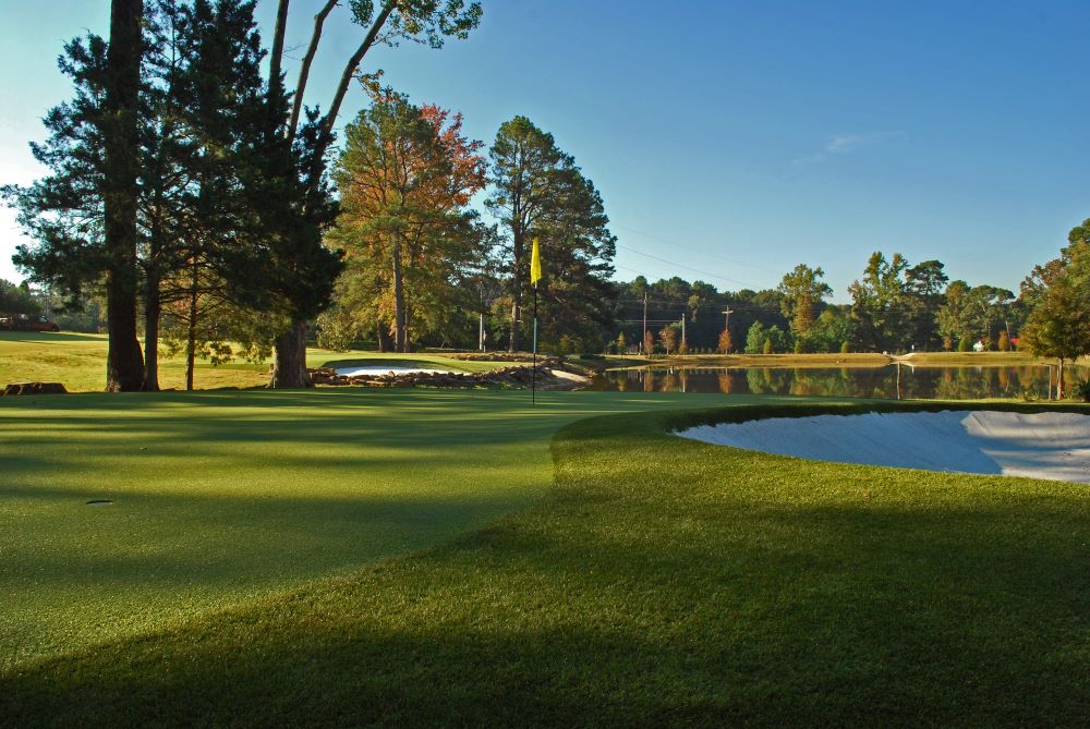 Jacksonville Artificial Turf Golf Course