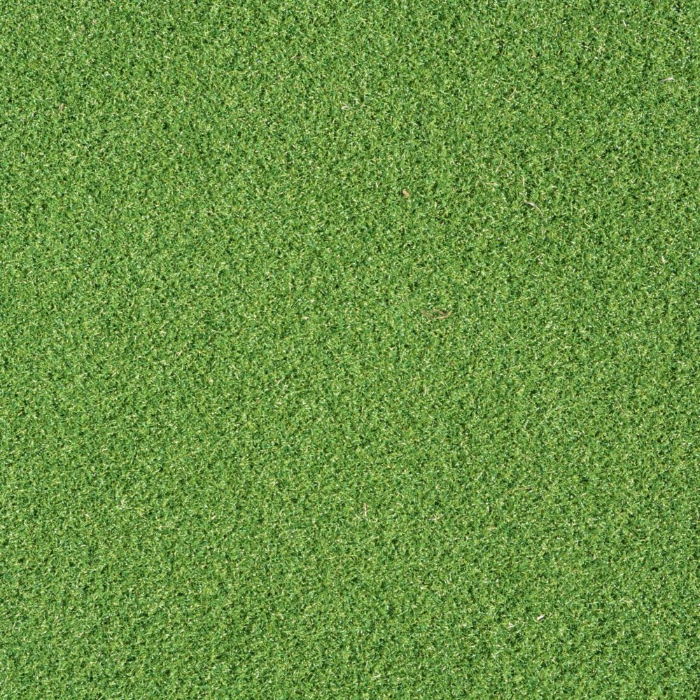 Close up shot of putting green turf.
