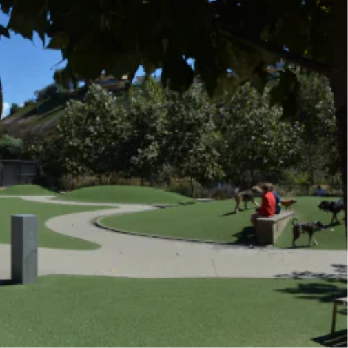 What to Know Before You Spec a Dog Park Surface in Jacksonville