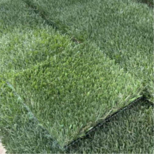 Introducing Wide Blade Turf in Jacksonville