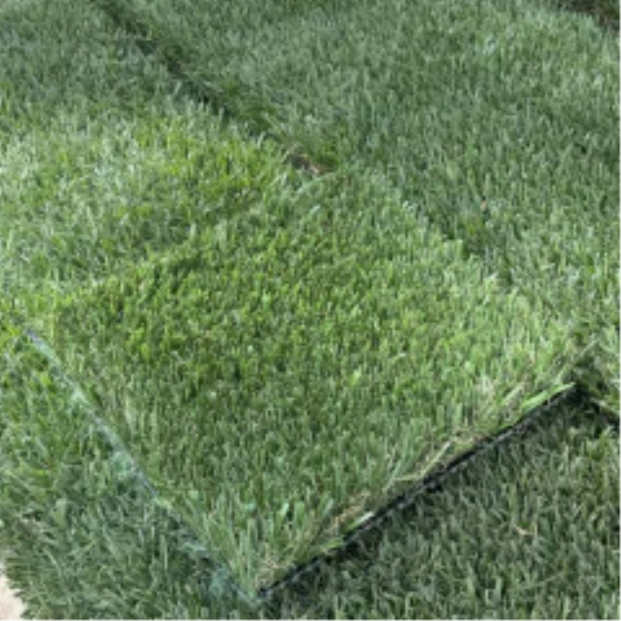 Introducing Wide Blade Turf in Jacksonville