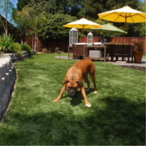 How fake grass for dogs Upgrades Your Jacksonville Backyard