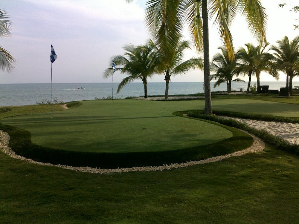 Jacksonville artificial grass landscaping