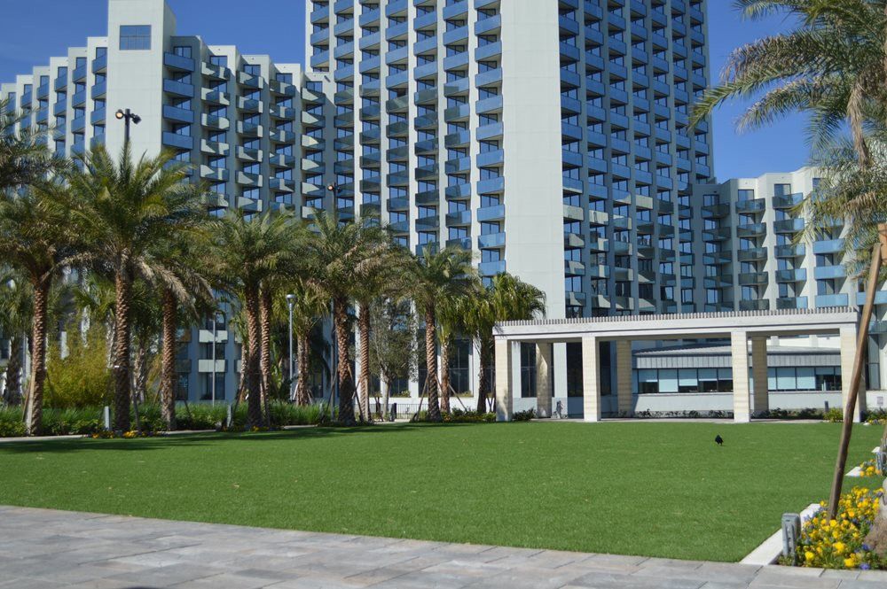 Jacksonville artificial grass landscaping