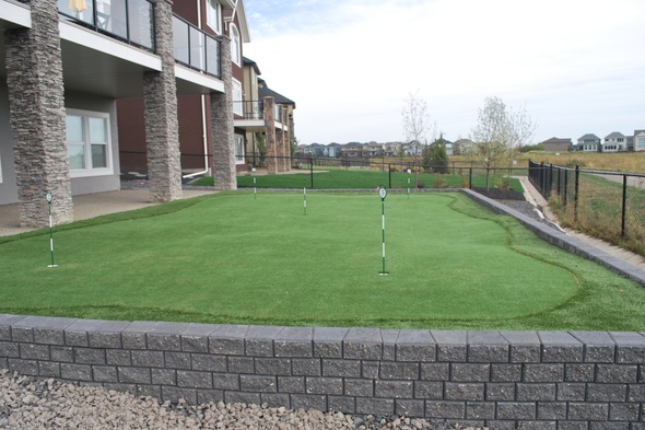 Jacksonville residential backyard putting green grass near modern home with golf flags